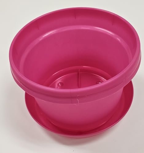 Austin Planter Case of 5 - Multi Size & Color Plastic Flower Pot, Seedling & Nursery Planter with Saucers