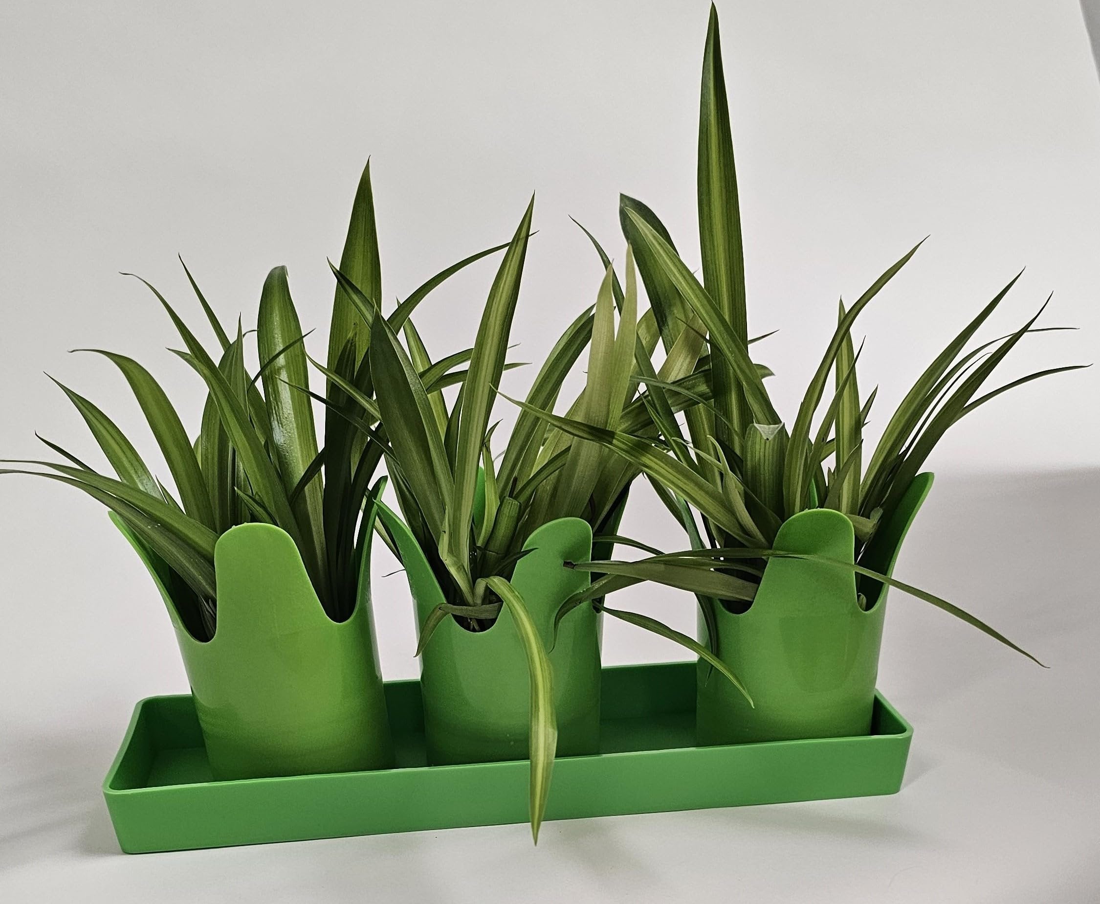 Austin Planter Case of 5 - Multi Size & Color Plastic Flower Pot, Seedling & Nursery Planter with Saucers