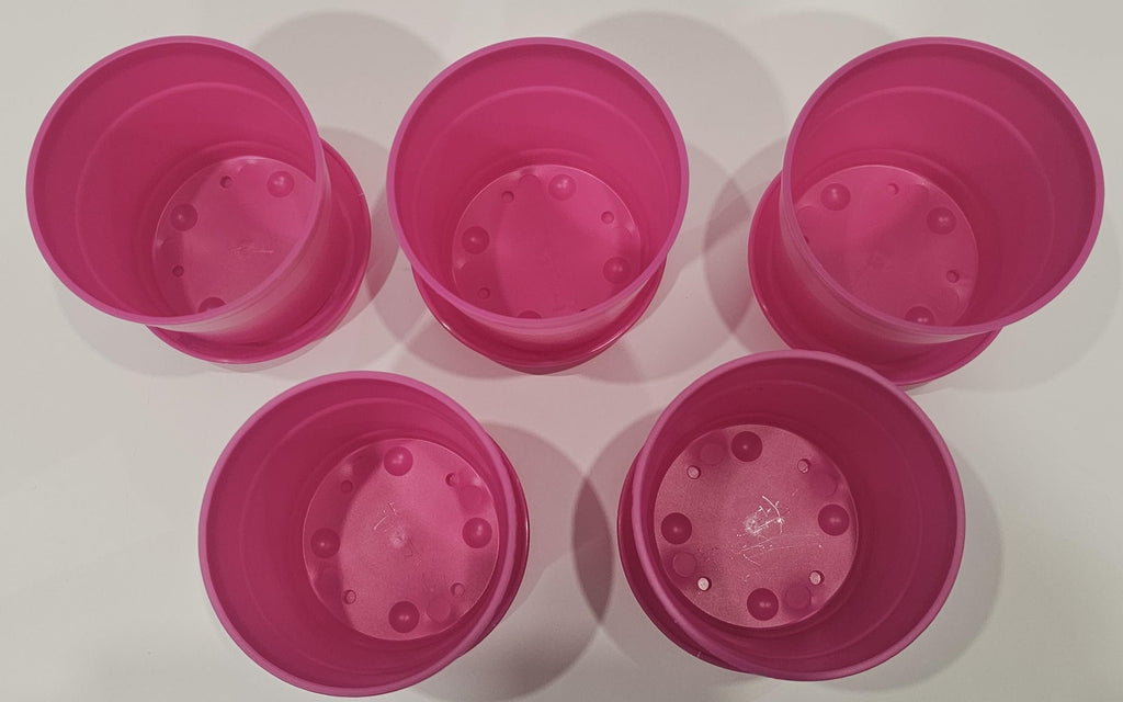Austin Planter Case of 5 - Multi Size & Color Plastic Flower Pot, Seedling & Nursery Planter with Saucers