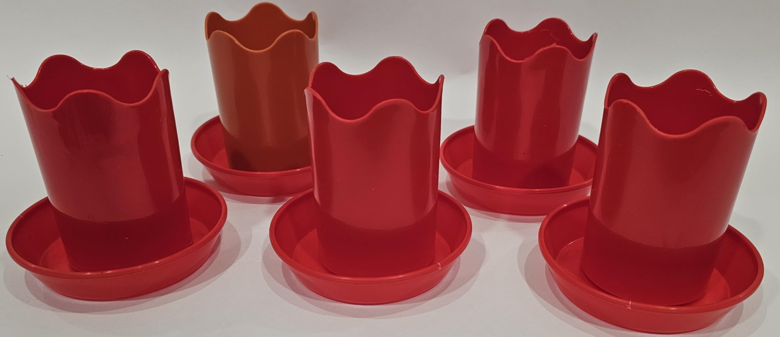 Austin Planter Case of 5 - Multi Size & Color Plastic Flower Pot, Seedling & Nursery Planter with Saucers