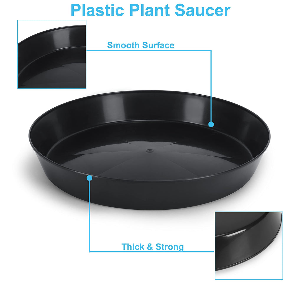 Austin Planter Case of 5 - Multi Size & Color Plastic Flower Pot, Seedling & Nursery Planter with Saucers