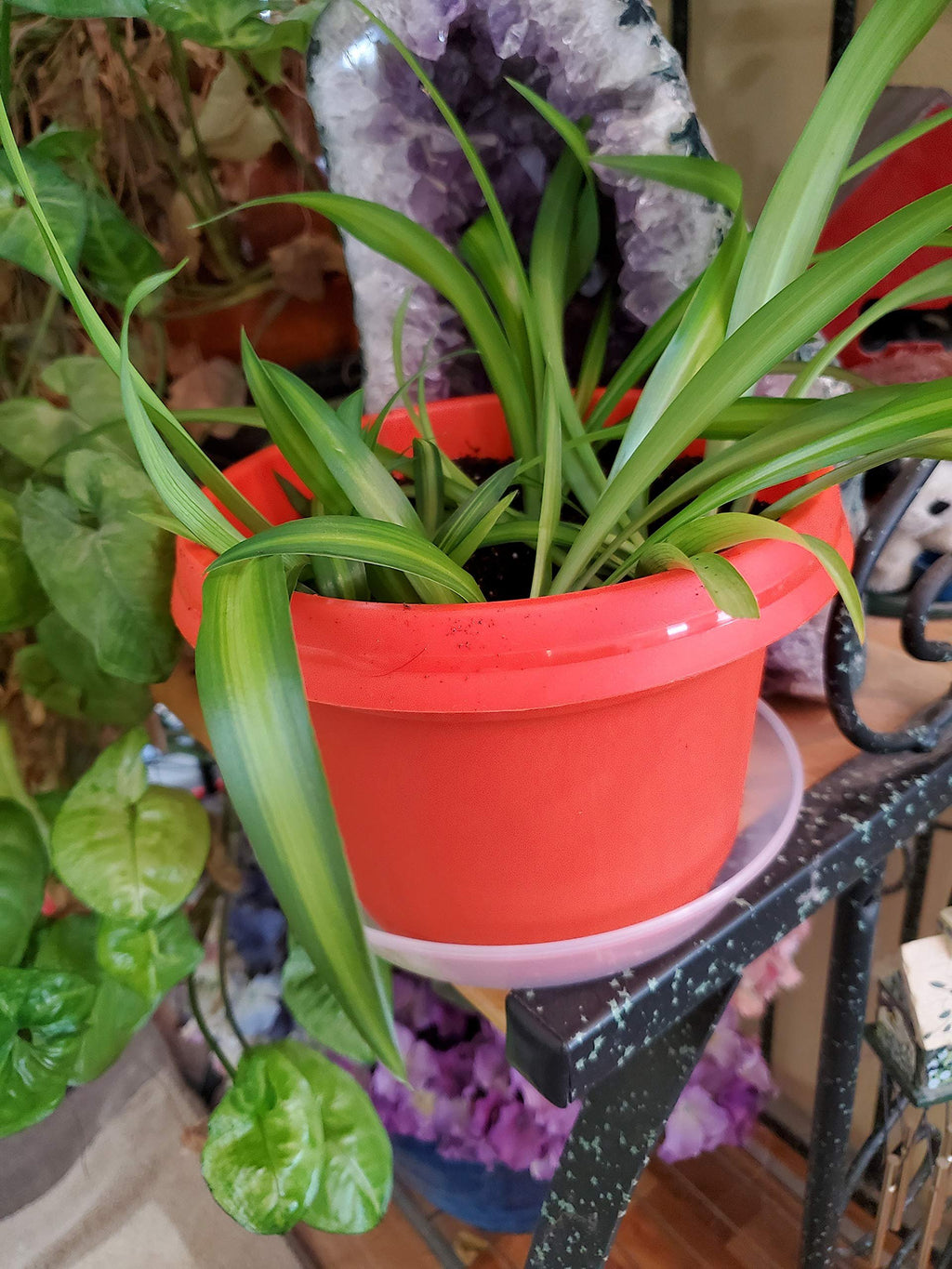Austin Planter Case of 5 - Multi Size & Color Plastic Flower Pot, Seedling & Nursery Planter with Saucers