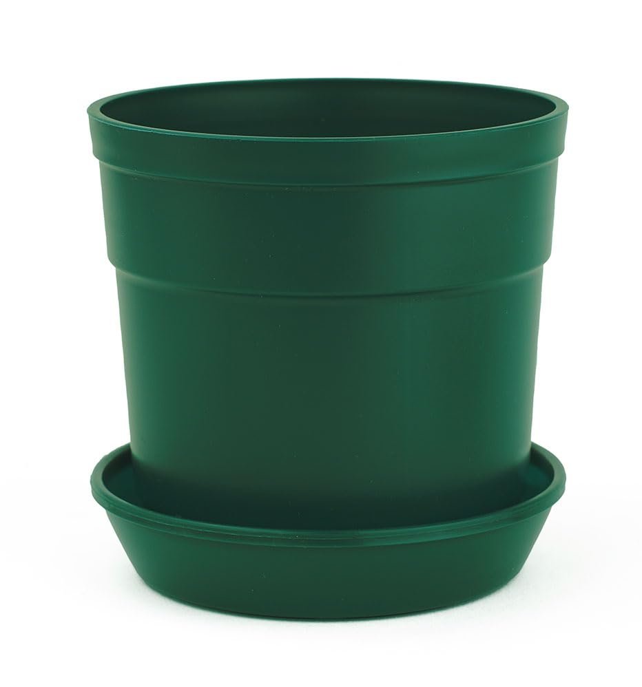 Austin Planter Case of 5 - Multi Size & Color Plastic Flower Pot, Seedling & Nursery Planter with Saucers