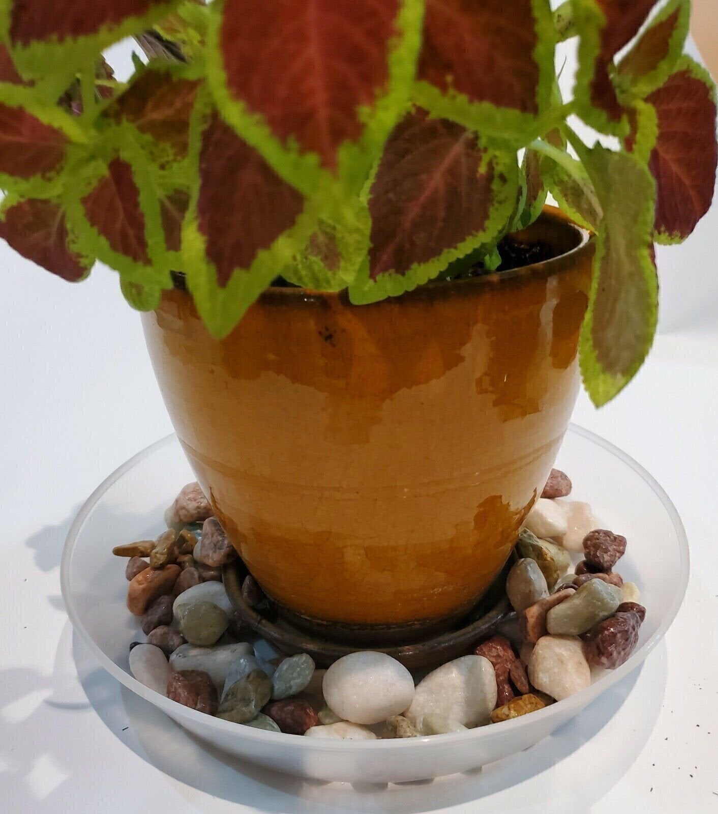 Austin Planter Plant Saucers - Heavy Duty Indoor/Outdoor Plant Saucer - USA Made