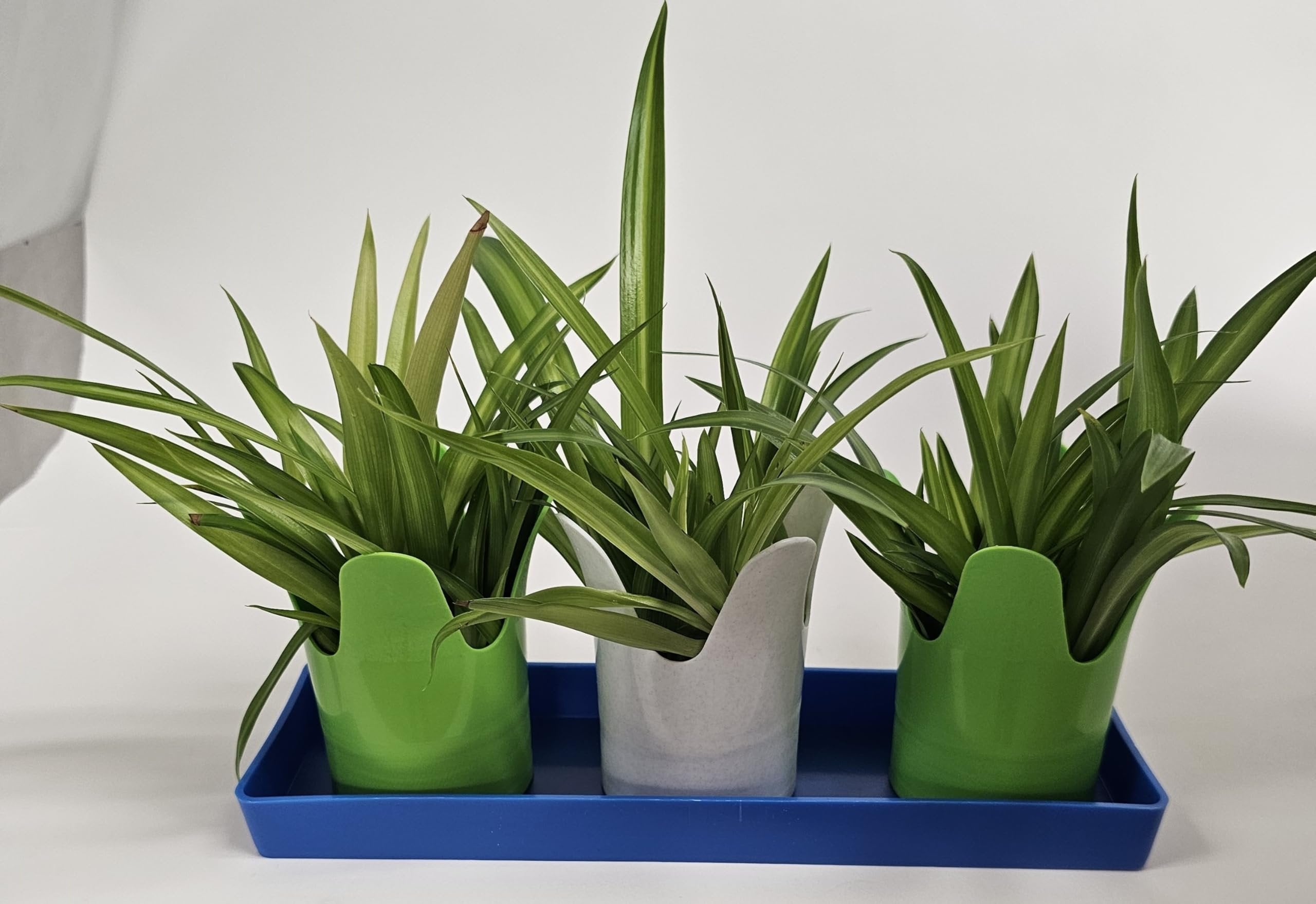 Austin Planter Case of 5 - Multi Size & Color Plastic Flower Pot, Seedling & Nursery Planter with Saucers