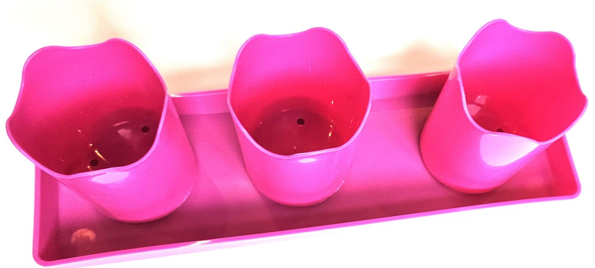 Austin Planter Case of 5 - Multi Size & Color Plastic Flower Pot, Seedling & Nursery Planter with Saucers