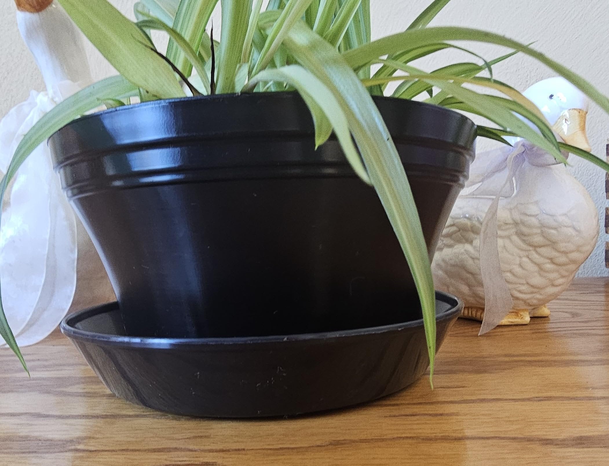 Austin Planter Case of 5 - Multi Size & Color Plastic Flower Pot, Seedling & Nursery Planter with Saucers