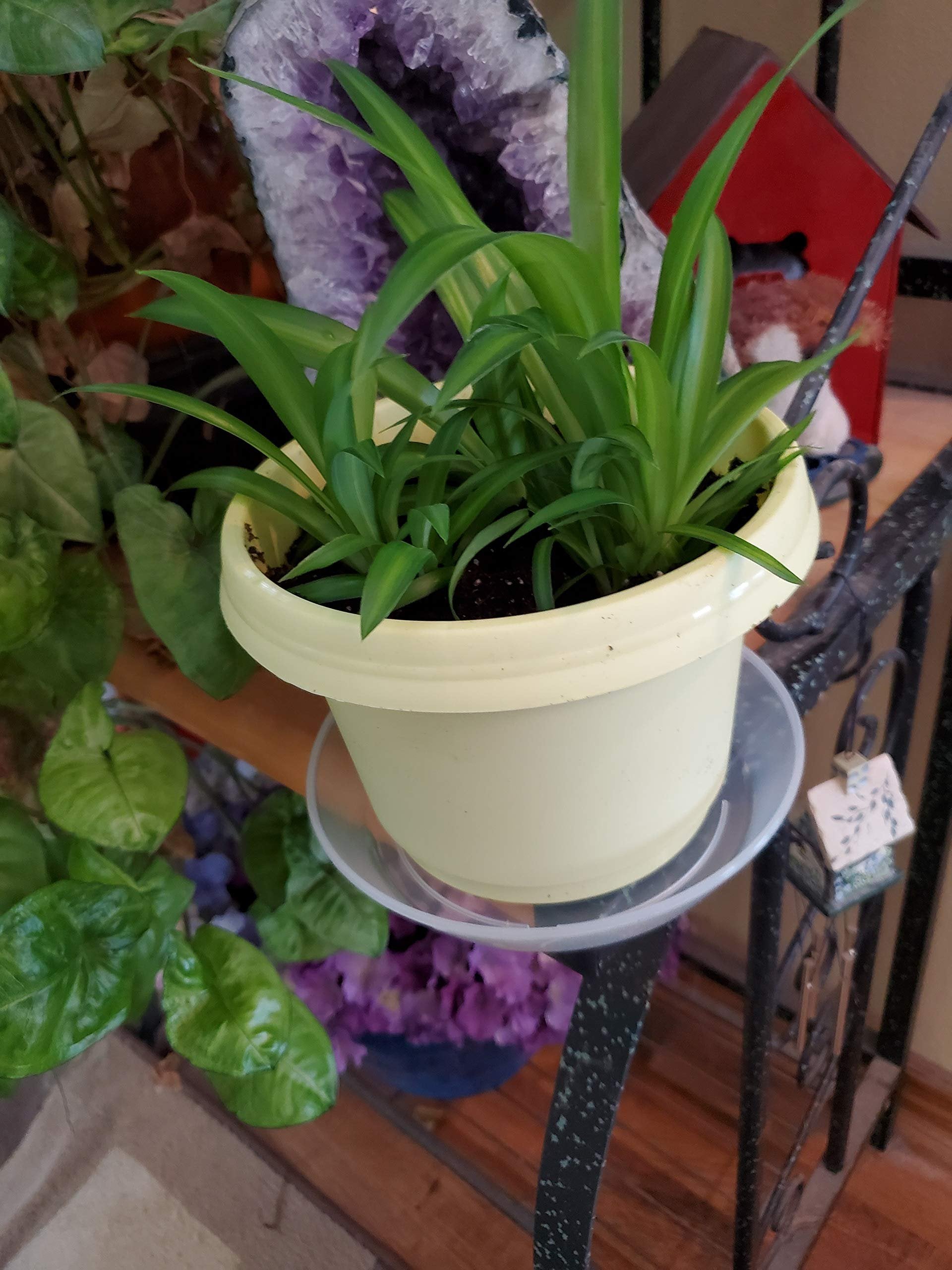 Austin Planter Case of 5 - Multi Size & Color Plastic Flower Pot, Seedling & Nursery Planter with Saucers