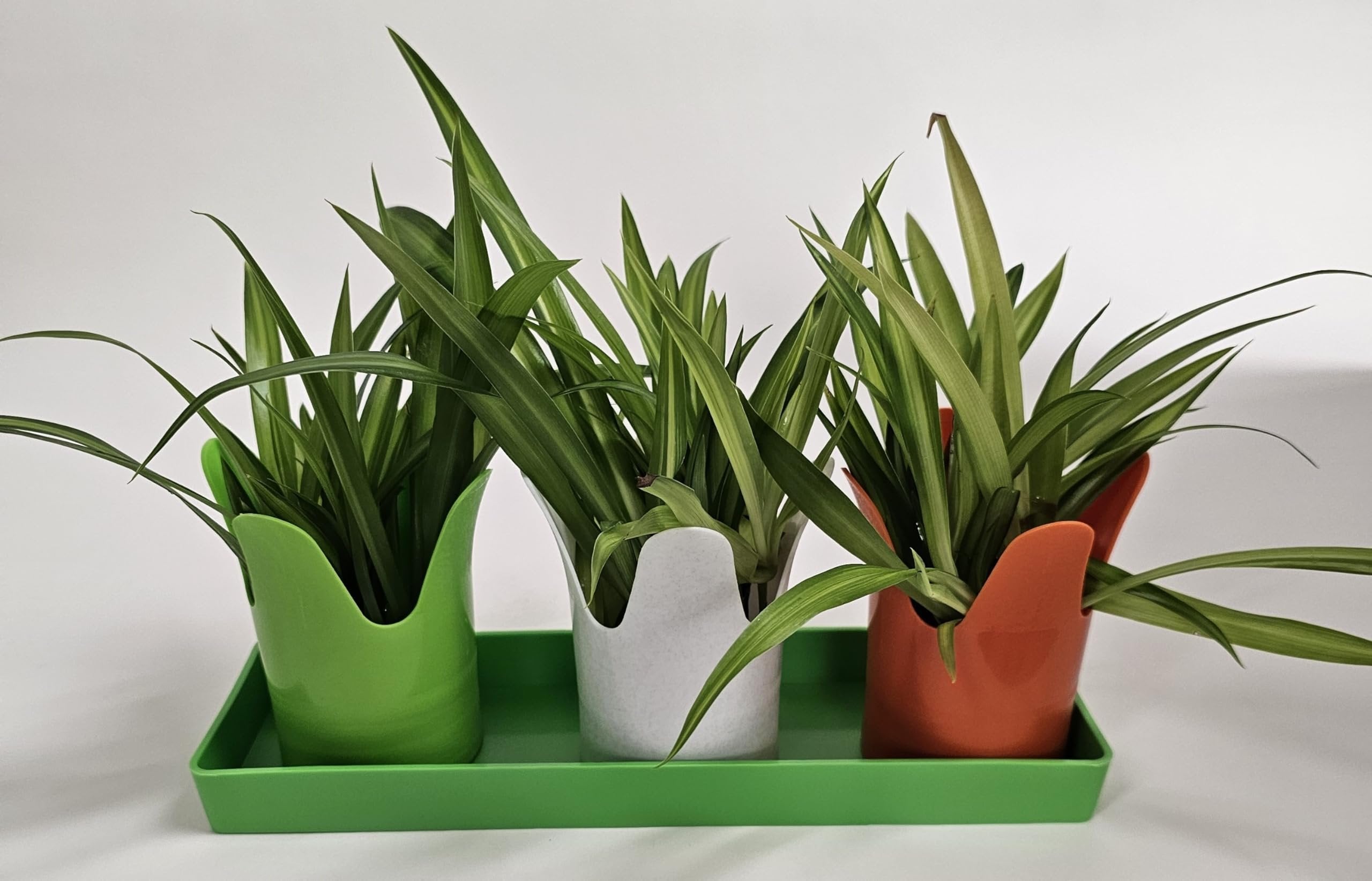 Austin Planter Case of 5 - Multi Size & Color Plastic Flower Pot, Seedling & Nursery Planter with Saucers