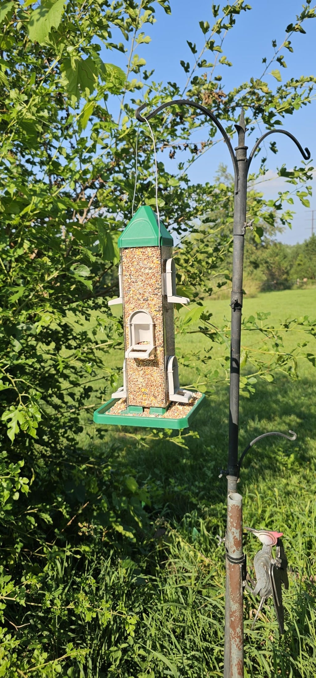 Square Tube Bird Feeders with 6 Feeding Ports for Outdoors Hanging, Premium Hard Plastic Weatherproof & Steel Hanger, Attracting for Wild Birds (Hunter Green)