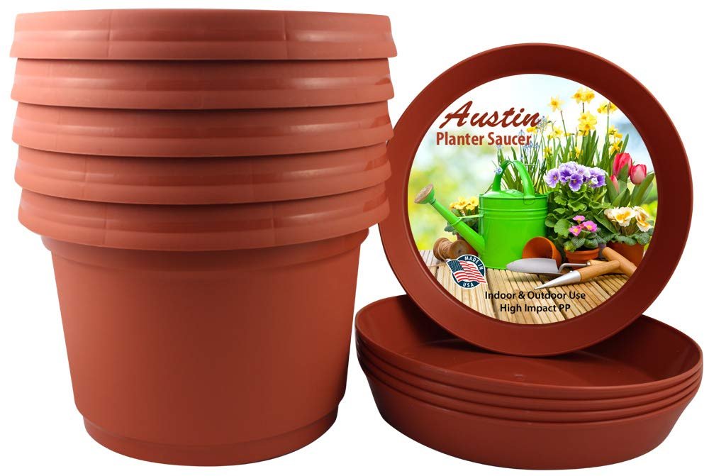 Austin Planter Case of 5 - Multi Size & Color Plastic Flower Pot, Seedling & Nursery Planter with Saucers