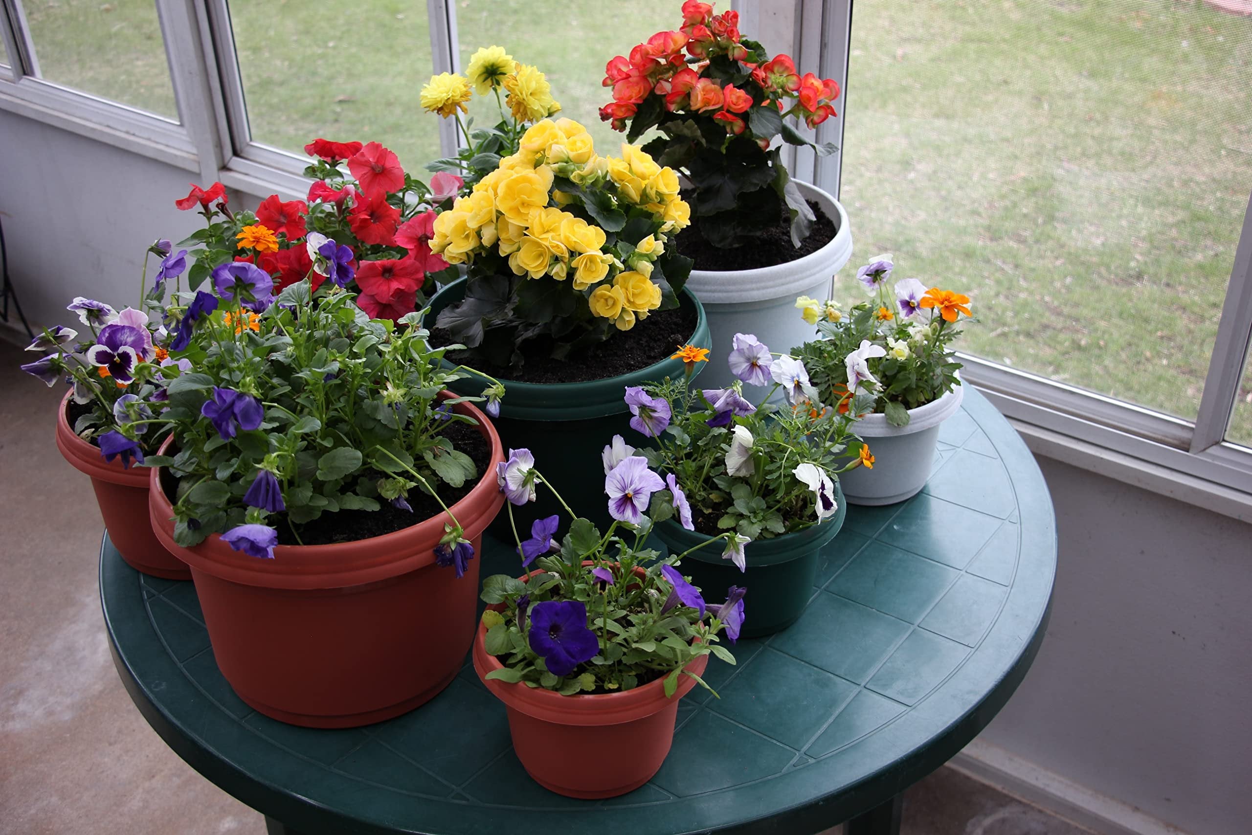 Austin Planter Case of 5 - Multi Size & Color Plastic Flower Pot, Seedling & Nursery Planter with Saucers