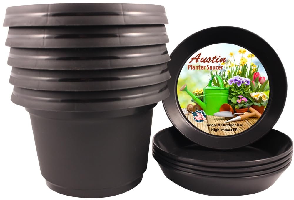 Austin Planter Case of 5 - Multi Size & Color Plastic Flower Pot, Seedling & Nursery Planter with Saucers