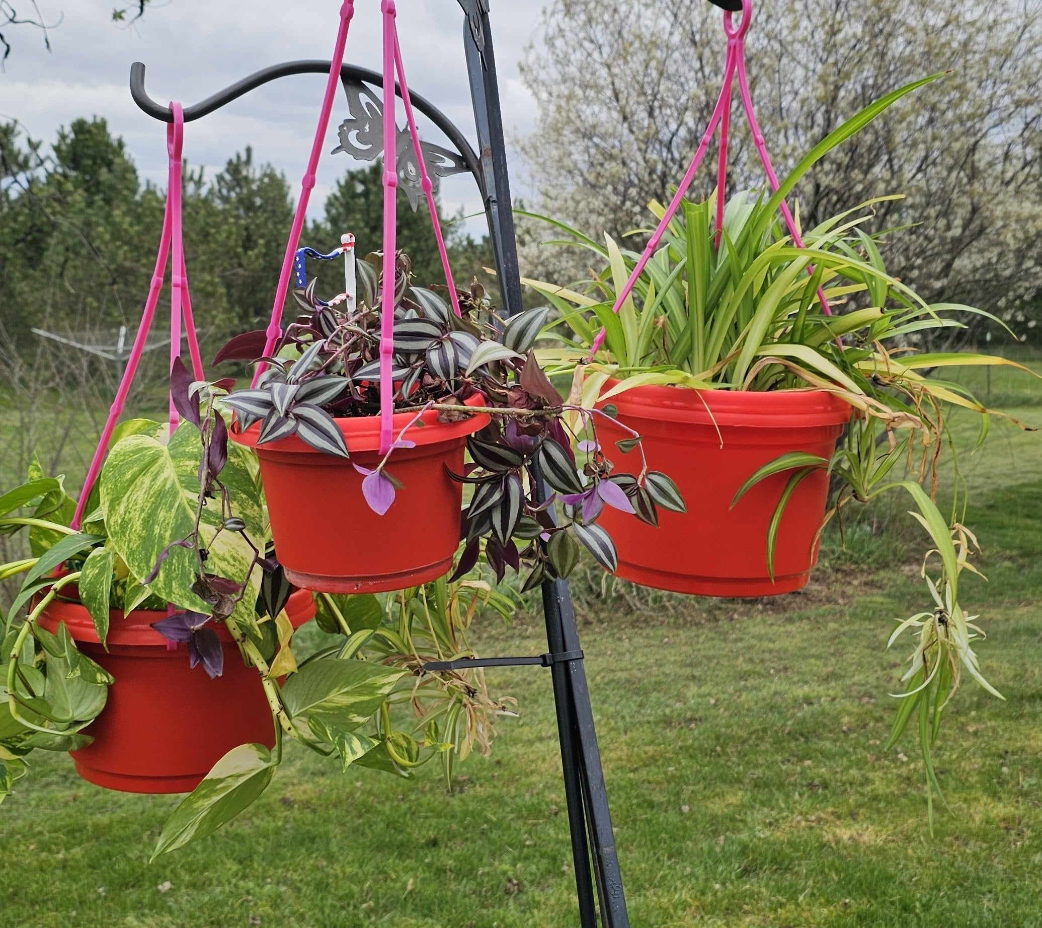 Austin Planter Case of 5 - Multi Size & Color Plastic Flower Pot, Seedling & Nursery Planter with Saucers