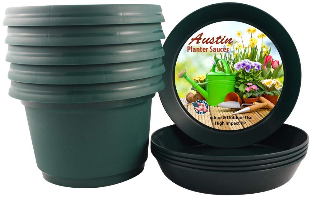 Austin Planter Case of 5 - Multi Size & Color Plastic Flower Pot, Seedling & Nursery Planter with Saucers
