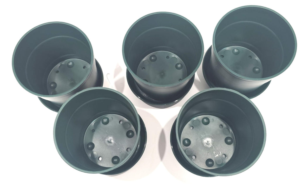Austin Planter Case of 5 - Multi Size & Color Plastic Flower Pot, Seedling & Nursery Planter with Saucers