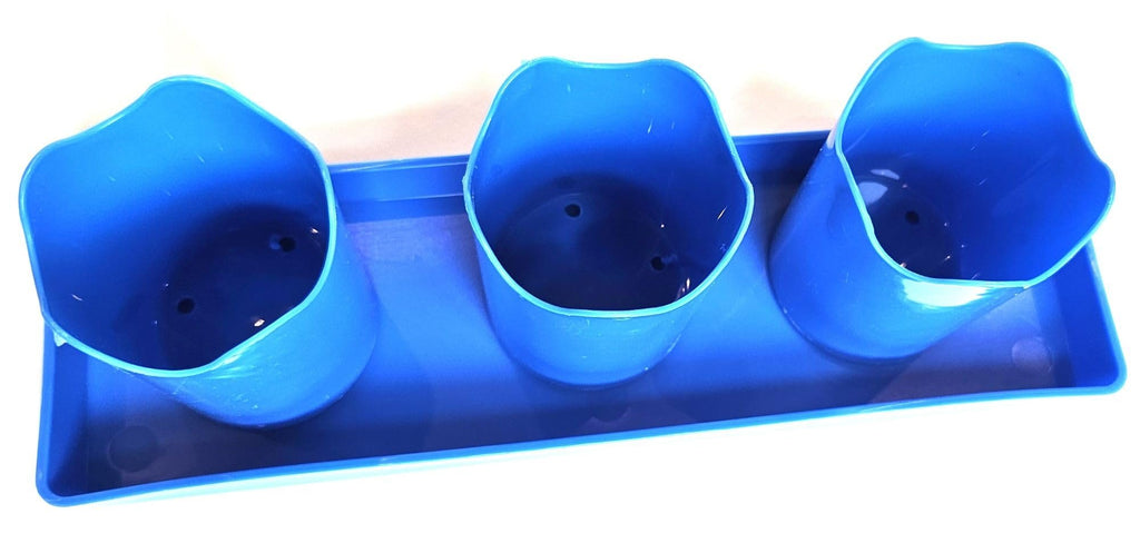 Austin Planter Case of 5 - Multi Size & Color Plastic Flower Pot, Seedling & Nursery Planter with Saucers