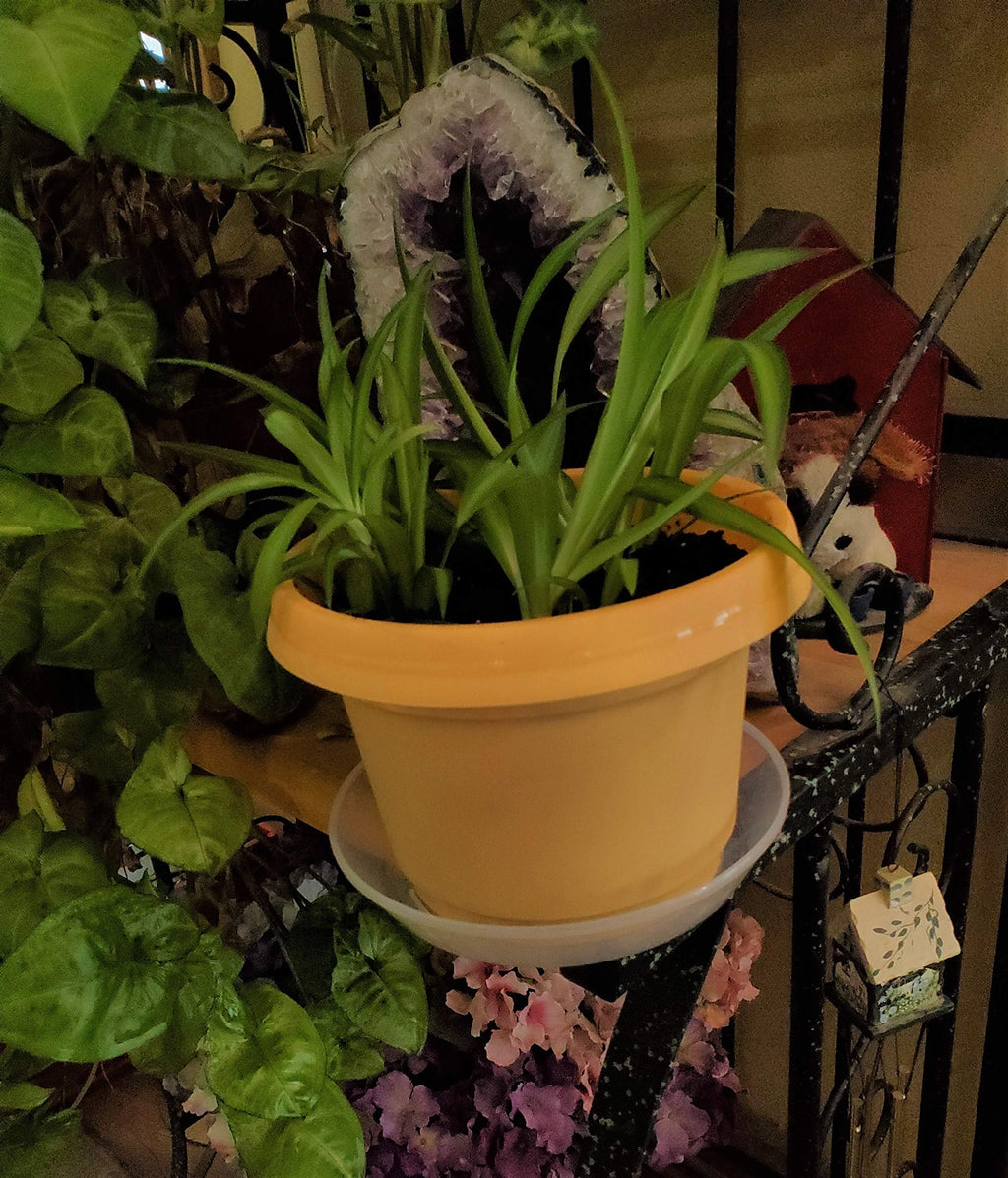 Austin Planter Case of 5 - Multi Size & Color Plastic Flower Pot, Seedling & Nursery Planter with Saucers
