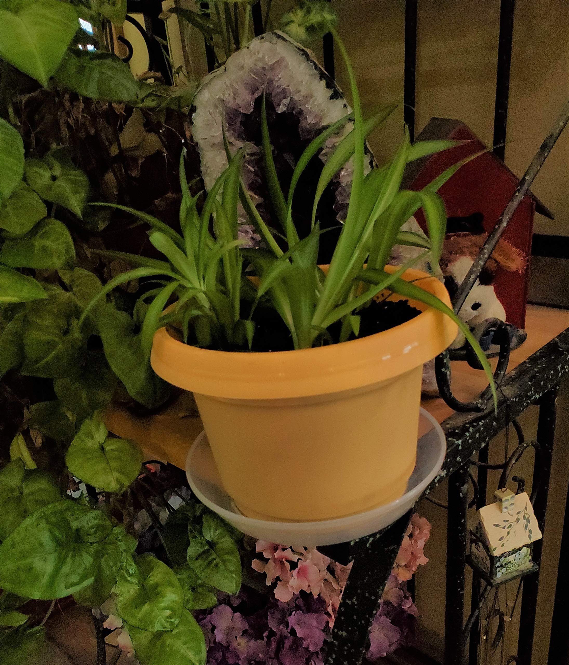 Austin Planter Case of 5 - Multi Size & Color Plastic Flower Pot, Seedling & Nursery Planter with Saucers