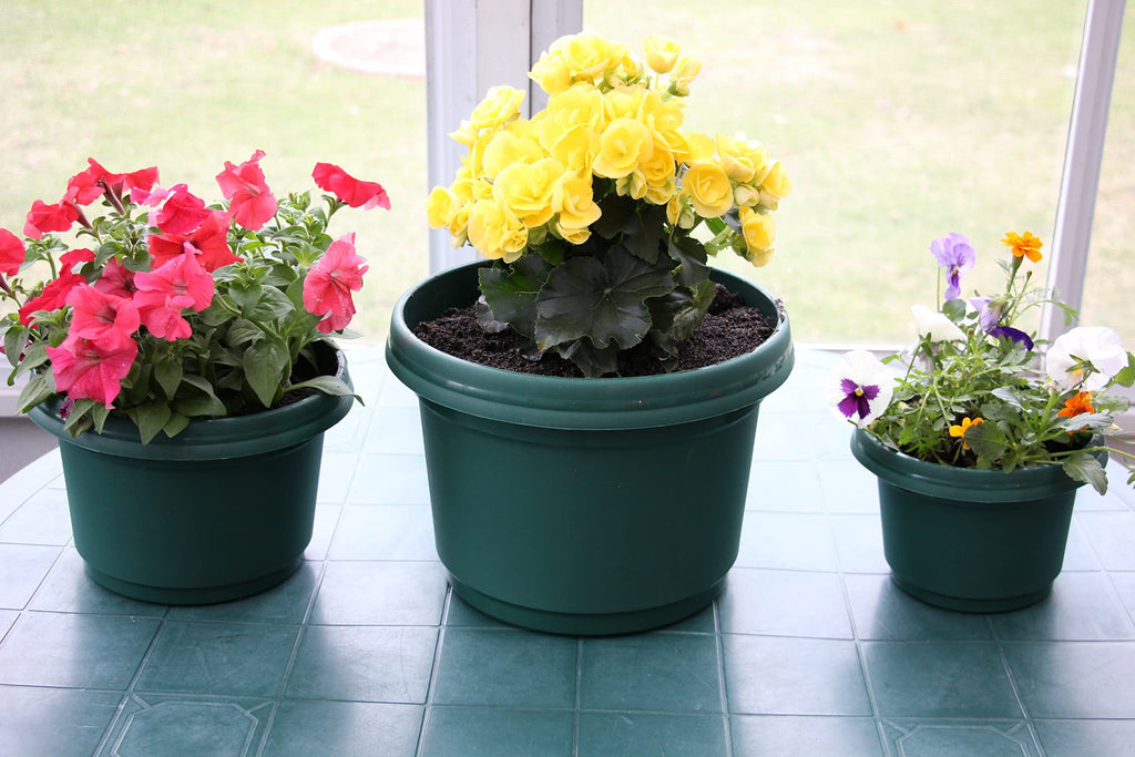 Austin Planter Case of 5 - Multi Size & Color Plastic Flower Pot, Seedling & Nursery Planter with Saucers