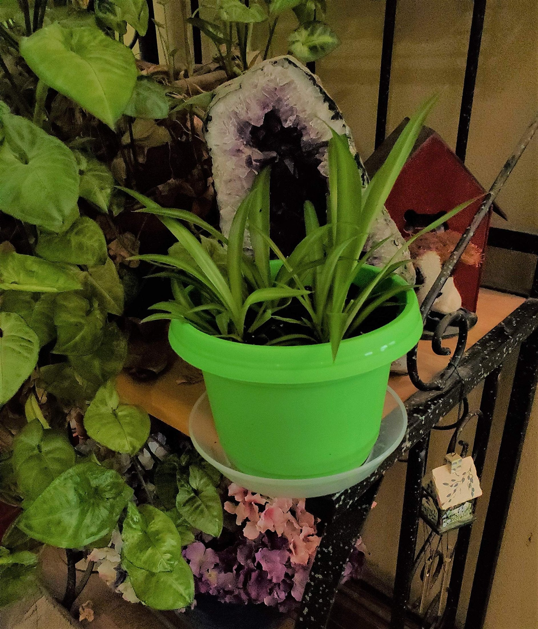 Austin Planter Case of 5 - Multi Size & Color Plastic Flower Pot, Seedling & Nursery Planter with Saucers