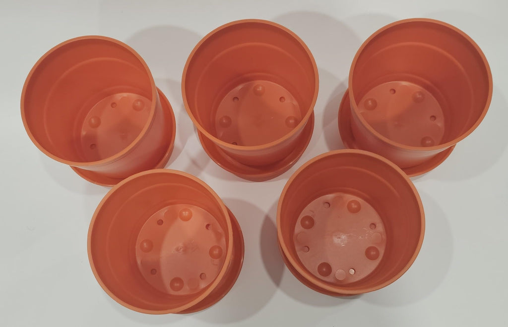 Austin Planter Case of 5 - Multi Size & Color Plastic Flower Pot, Seedling & Nursery Planter with Saucers
