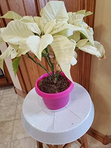 Austin Planter Case of 5 - Multi Size & Color Plastic Flower Pot, Seedling & Nursery Planter with Saucers