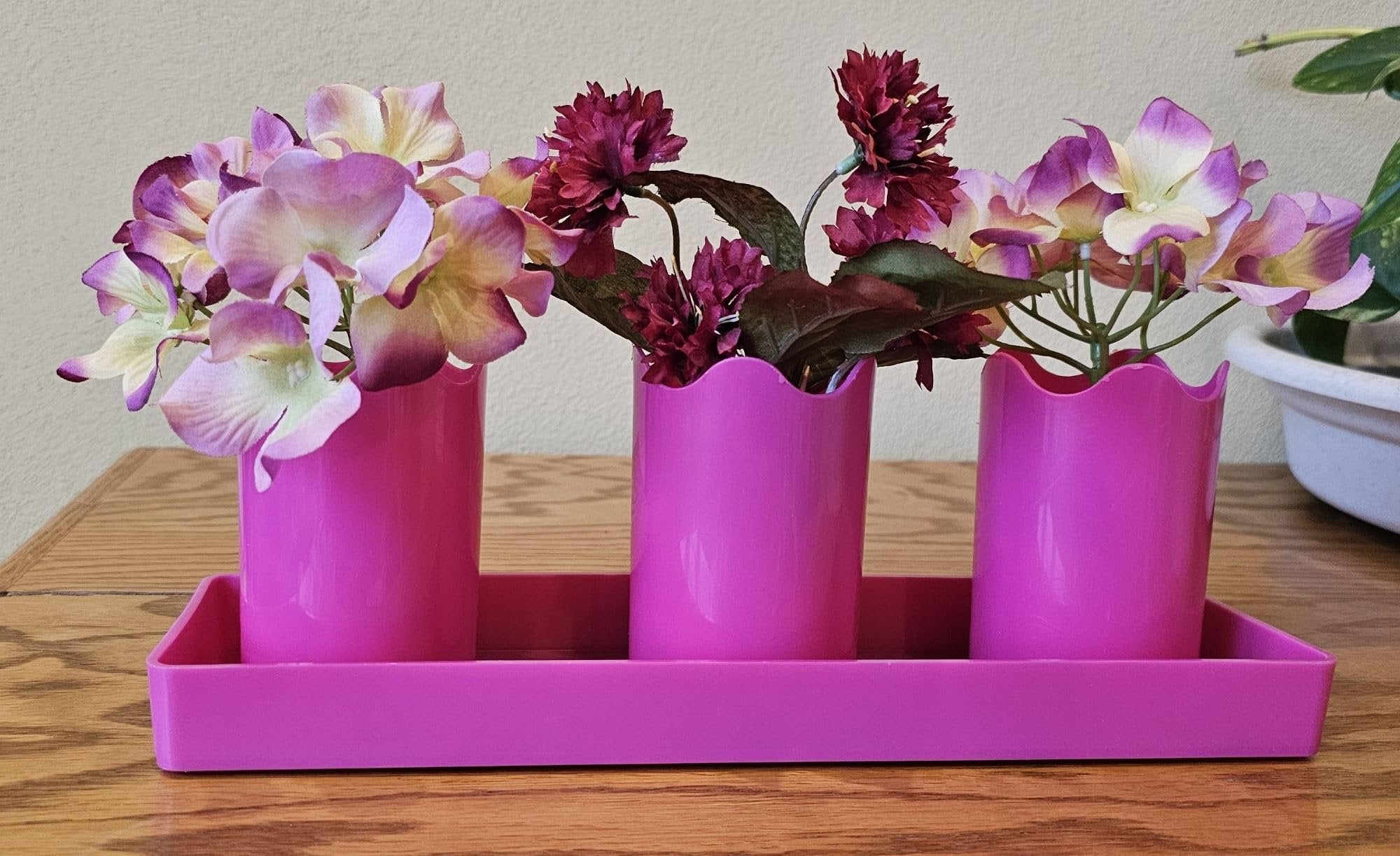 Austin Planter Case of 5 - Multi Size & Color Plastic Flower Pot, Seedling & Nursery Planter with Saucers