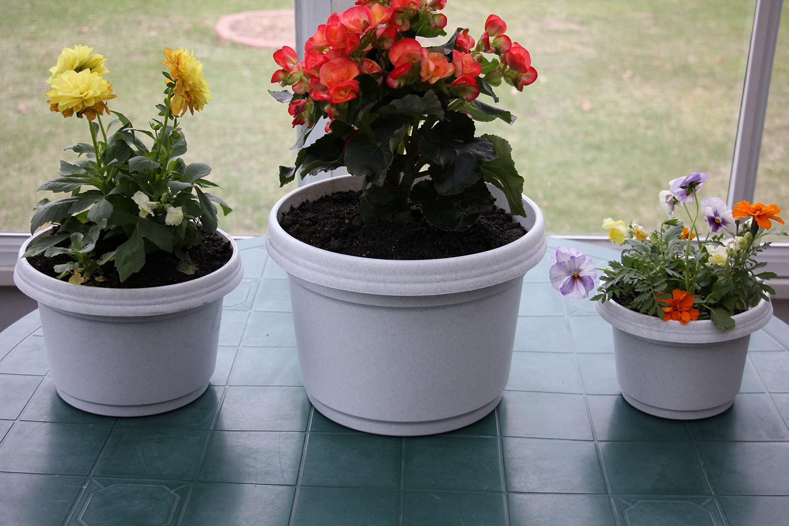 Austin Planter Case of 5 - Multi Size & Color Plastic Flower Pot, Seedling & Nursery Planter with Saucers