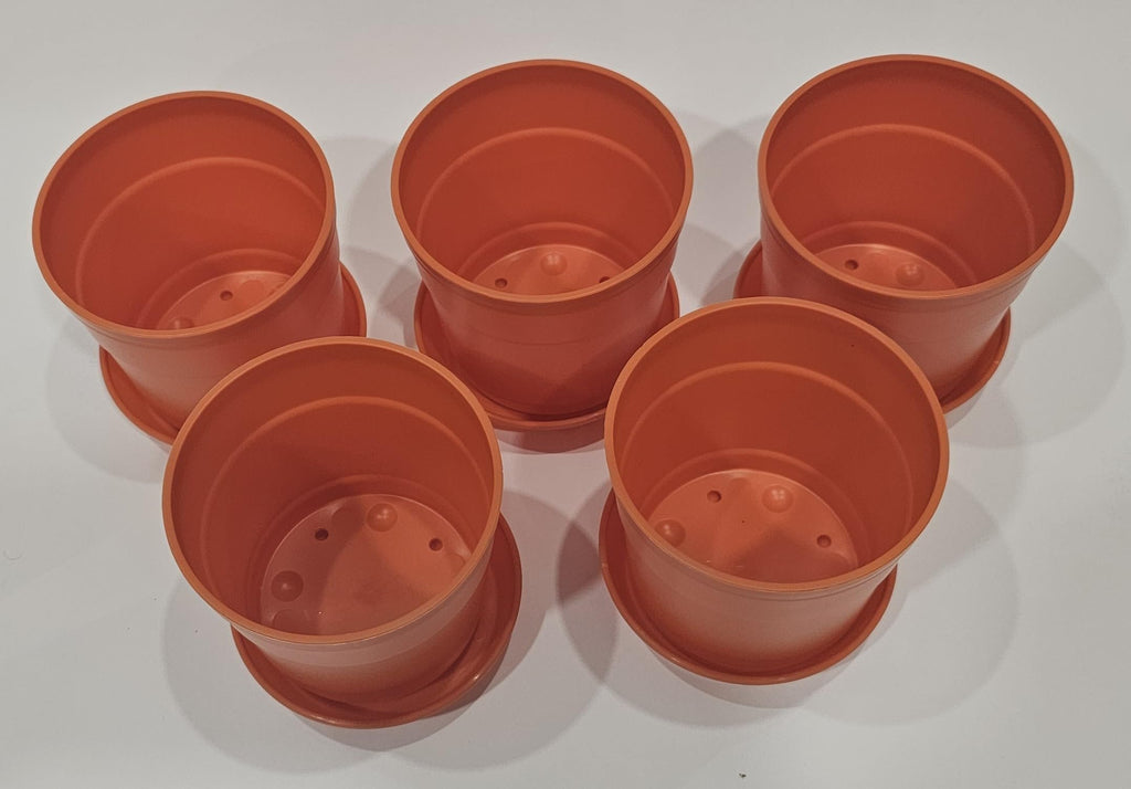 Austin Planter Case of 5 - Multi Size & Color Plastic Flower Pot, Seedling & Nursery Planter with Saucers