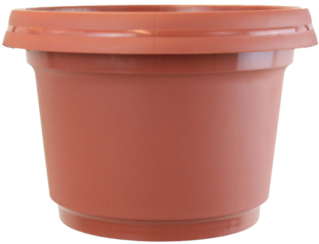 Austin Planter Case of 5 - Multi Size & Color Plastic Flower Pot, Seedling & Nursery Planter with Saucers