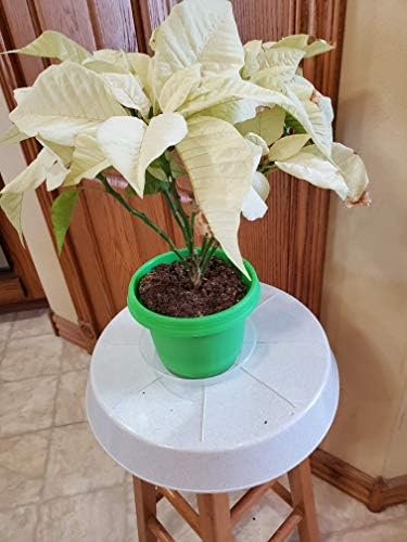 Austin Planter Case of 5 - Multi Size & Color Plastic Flower Pot, Seedling & Nursery Planter with Saucers