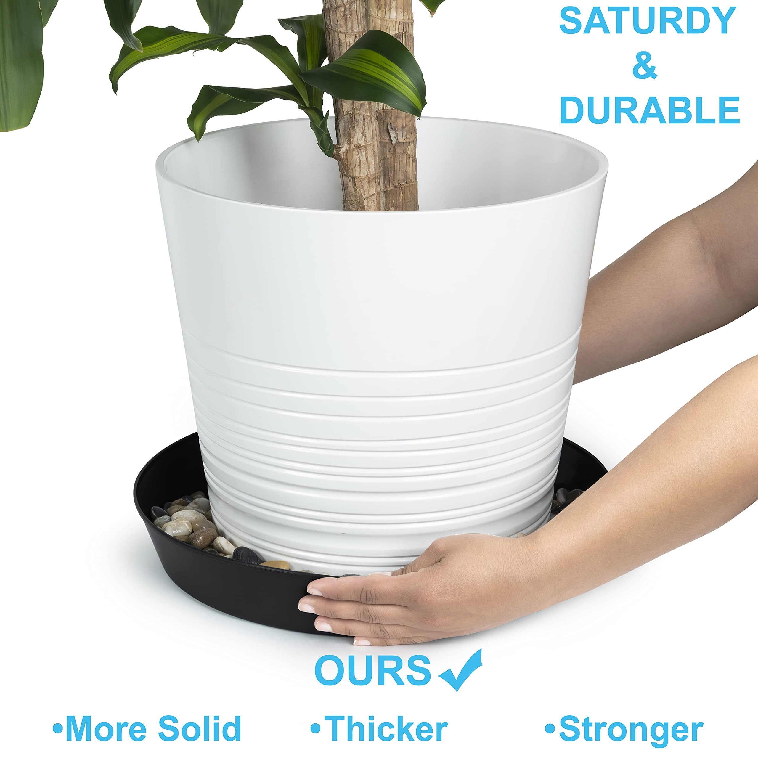 Austin Planter Case of 5 - Multi Size & Color Plastic Flower Pot, Seedling & Nursery Planter with Saucers