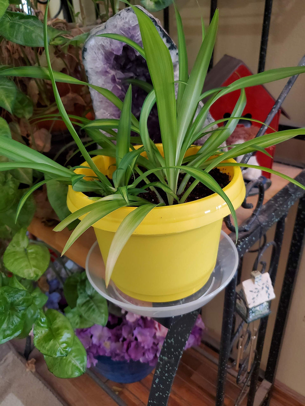 Austin Planter Case of 5 - Multi Size & Color Plastic Flower Pot, Seedling & Nursery Planter with Saucers