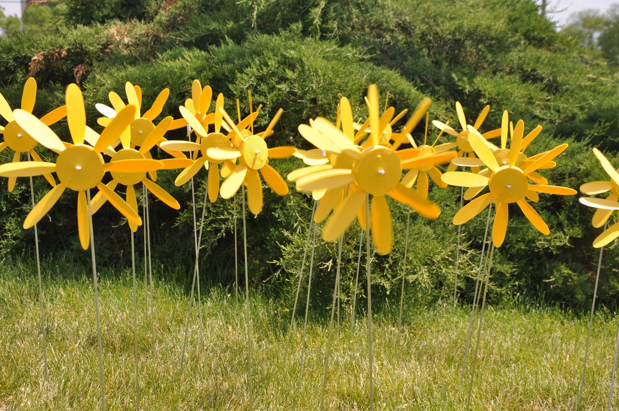 Spinning Daisies (Pack of 6) Beloit Plastics 12 inch Dia. Random Color Lawn Pinwheels, 24" Tall Pinwheel and Wind Spinners, Garden, Party Pinwheel, Flower Spinner, for Patio, Lawn & Garden