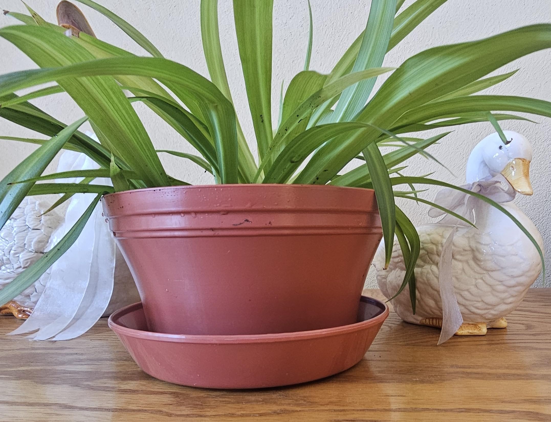 Austin Planter Case of 5 - Multi Size & Color Plastic Flower Pot, Seedling & Nursery Planter with Saucers