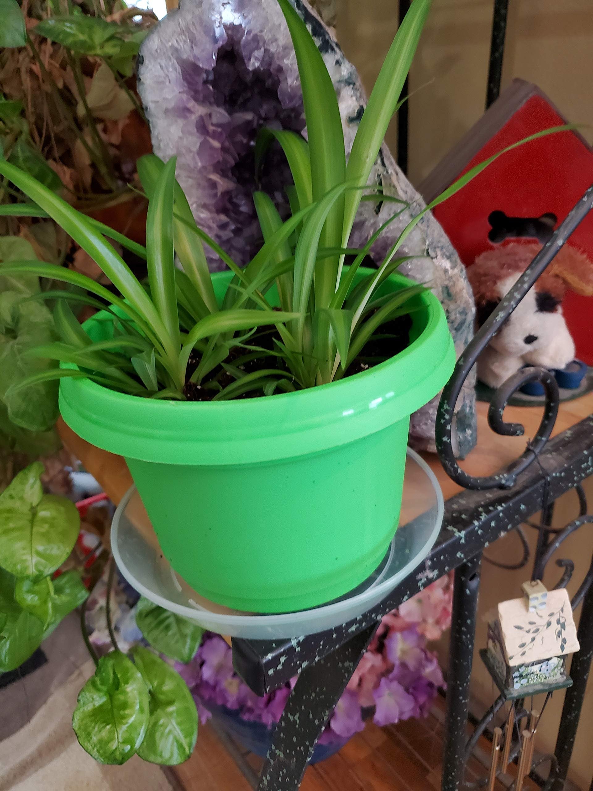 Austin Planter Case of 5 - Multi Size & Color Plastic Flower Pot, Seedling & Nursery Planter with Saucers