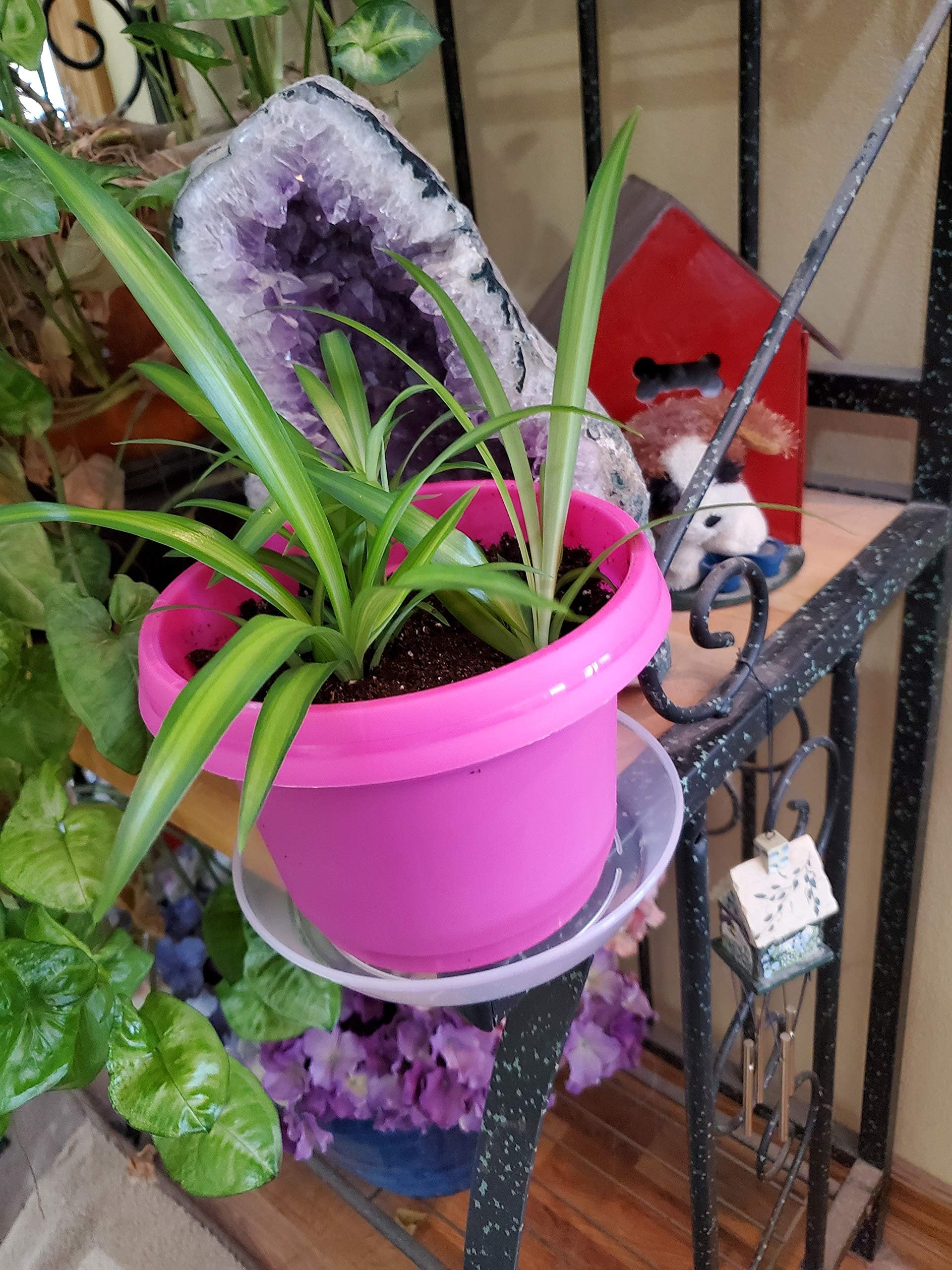 Austin Planter Case of 5 - Multi Size & Color Plastic Flower Pot, Seedling & Nursery Planter with Saucers