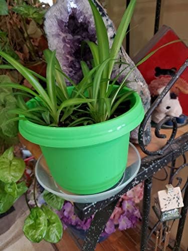 Austin Planter Case of 5 - Multi Size & Color Plastic Flower Pot, Seedling & Nursery Planter with Saucers