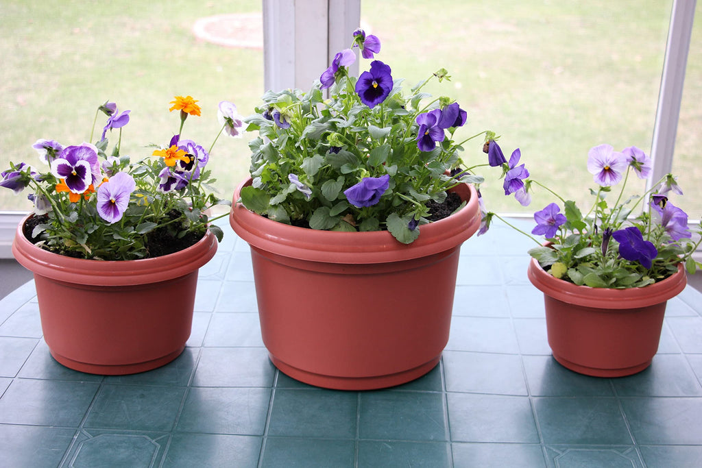 Austin Planter Case of 5 - Multi Size & Color Plastic Flower Pot, Seedling & Nursery Planter with Saucers